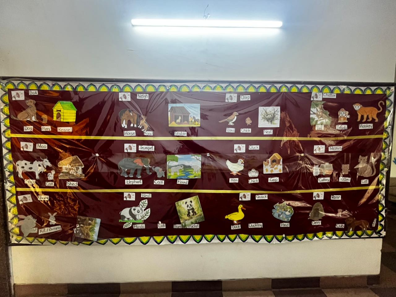 Our School