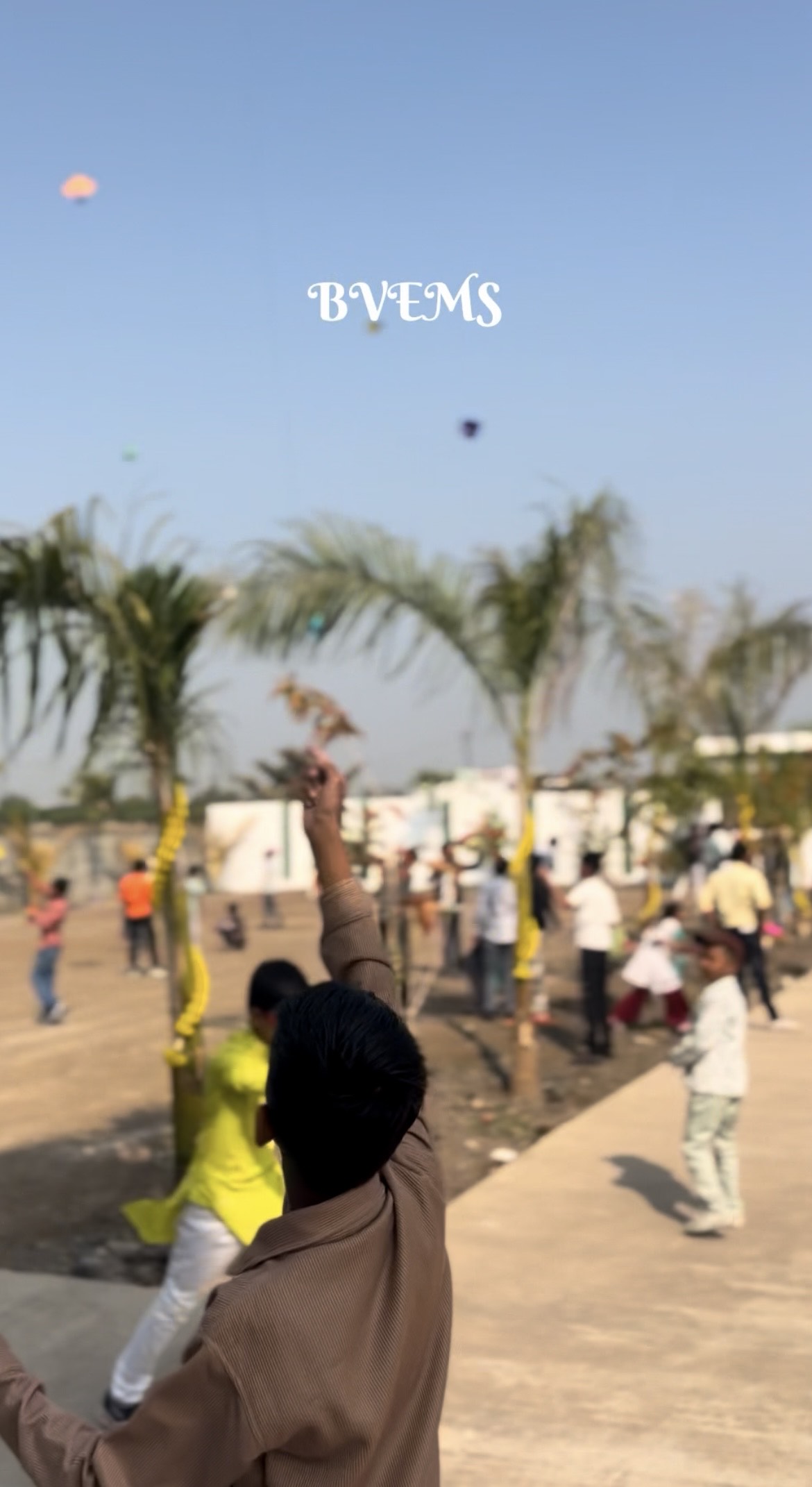 Kite Flying Festival