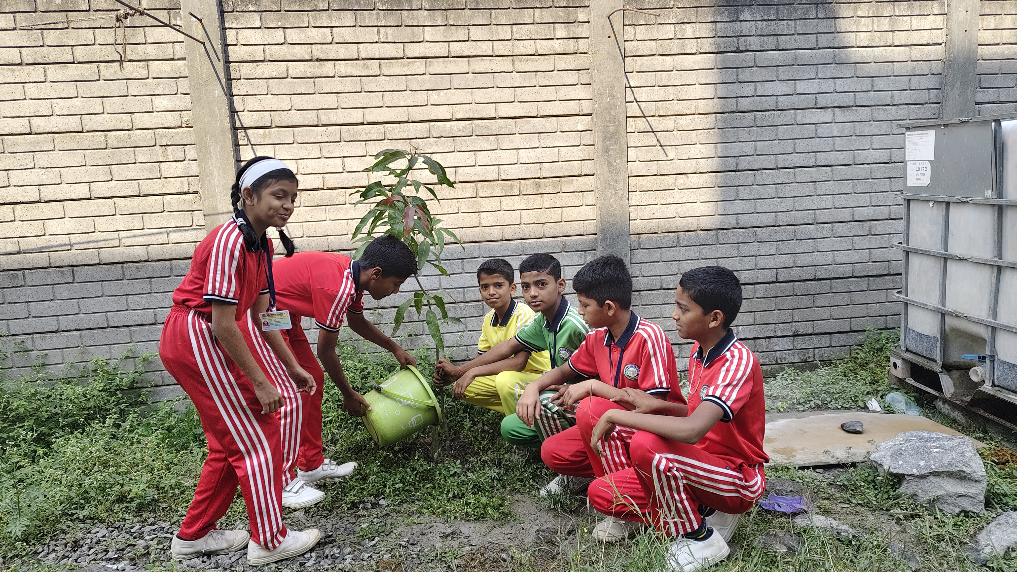 Green Initiative: Planting Activity
