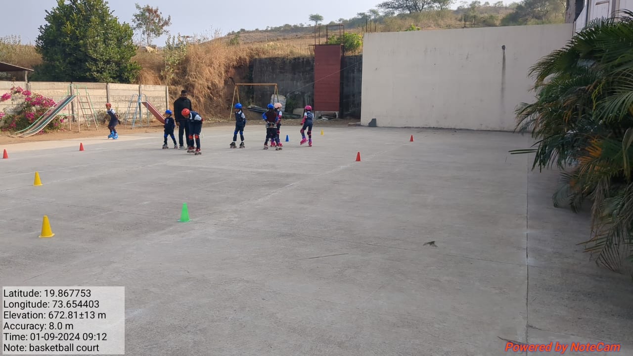 Playing court